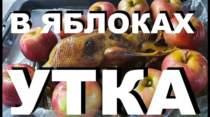 ДИКАЯ УТКА В ЯБЛОКАХ В РУКАВЕ. ОХОТА НА КУБАНИ. РЕЦЕПТЫ СЮФ